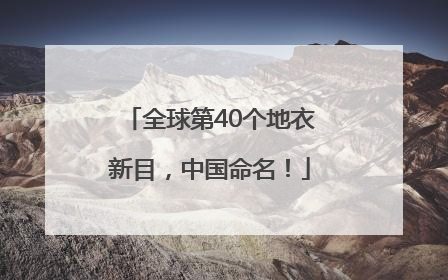 全球第40个地衣新目，中国命名！