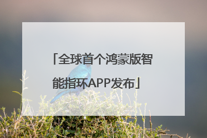 全球首个鸿蒙版智能指环APP发布