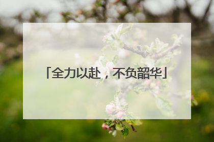 全力以赴，不负韶华