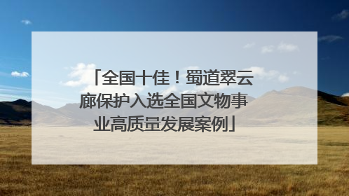 全国十佳！蜀道翠云廊保护入选全国文物事业高质量发展案例