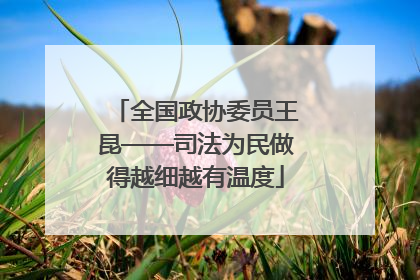 全国政协委员王昆——司法为民做得越细越有温度