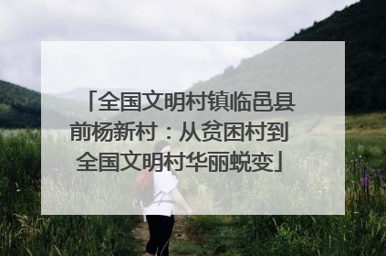 全国文明村镇临邑县前杨新村：从贫困村到全国文明村华丽蜕变