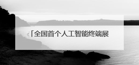 全国首个人工智能终端展在深圳启幕_深圳新闻网