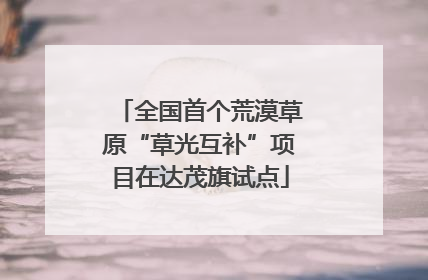 全国首个荒漠草原“草光互补”项目在达茂旗试点