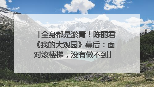 全身都是淤青！陈丽君《我的大观园》幕后：面对滚楼梯，没有做不到