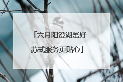 六月阳澄湖蟹好 苏式服务更贴心