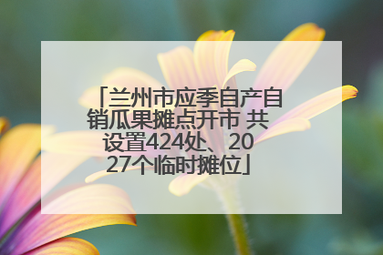 兰州市应季自产自销瓜果摊点开市 共设置424处、2027个临时摊位