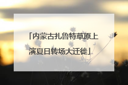 内蒙古扎鲁特草原上演夏日转场大迁徙