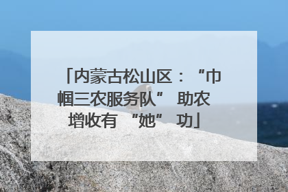 内蒙古松山区：“巾帼三农服务队” 助农增收有 “她” 功