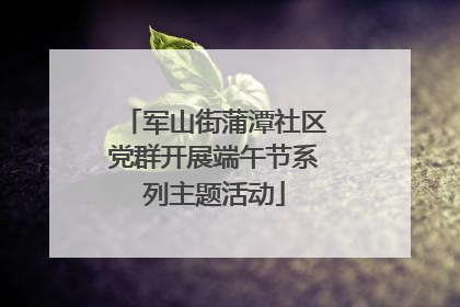 军山街蒲潭社区党群开展端午节系列主题活动