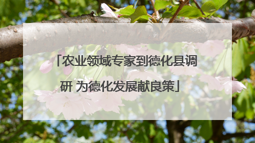 农业领域专家到德化县调研 为德化发展献良策