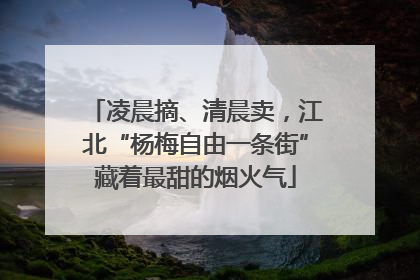 凌晨摘、清晨卖，江北“杨梅自由一条街”藏着最甜的烟火气