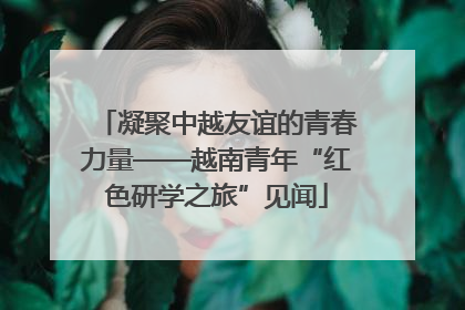凝聚中越友谊的青春力量——越南青年“红色研学之旅”见闻