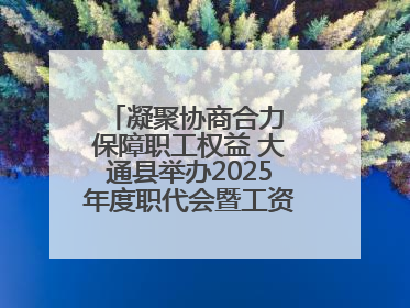 凝聚协商合力 保障职工权益 大通县举办2025年度职代会暨工资集体协商现场观摩交流活动