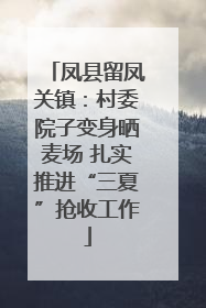 凤县留凤关镇：村委院子变身晒麦场 扎实推进“三夏”抢收工作