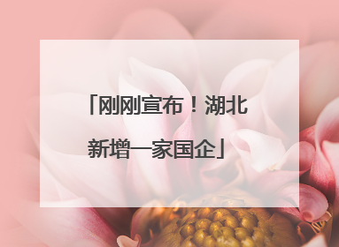 刚刚宣布！湖北新增一家国企