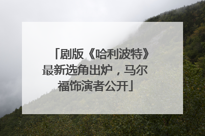 剧版《哈利波特》最新选角出炉，马尔福饰演者公开