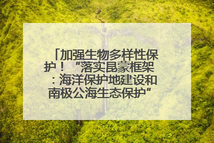 加强生物多样性保护！“落实昆蒙框架：海洋保护地建设和南极公海生态保护”主题论坛将举办
