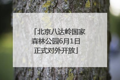 北京八达岭国家森林公园6月1日正式对外开放