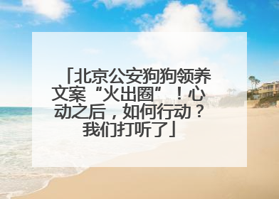 北京公安狗狗领养文案“火出圈”！心动之后，如何行动？我们打听了