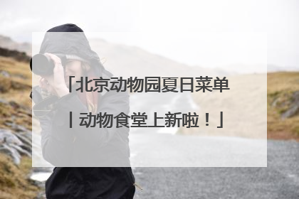 北京动物园夏日菜单丨动物食堂上新啦！