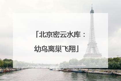 北京密云水库：幼鸟离巢飞翔