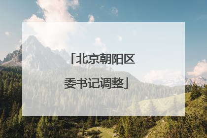 北京朝阳区委书记调整
