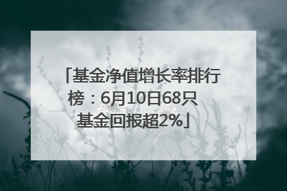 基金净值增长率排行榜：6月10日68只基金回报超2%