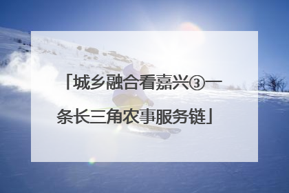 城乡融合看嘉兴③一条长三角农事服务链