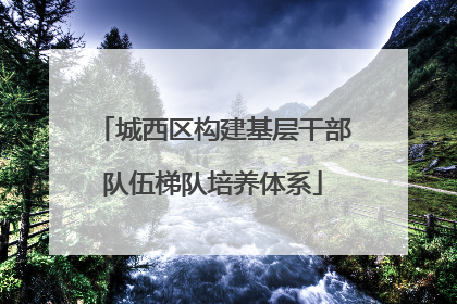 城西区构建基层干部队伍梯队培养体系