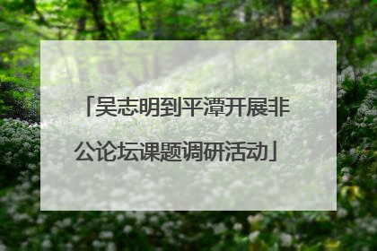 吴志明到平潭开展非公论坛课题调研活动