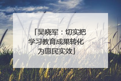 吴晓军：切实把学习教育成果转化为惠民实效