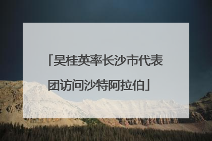 吴桂英率长沙市代表团访问沙特阿拉伯