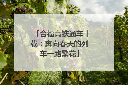 合福高铁通车十载：奔向春天的列车一路繁花