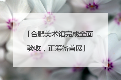 合肥美术馆完成全面验收，正筹备首展