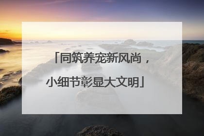 同筑养宠新风尚，小细节彰显大文明