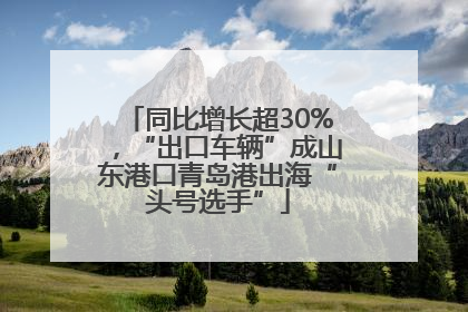 同比增长超30%，“出口车辆”成山东港口青岛港出海“头号选手”