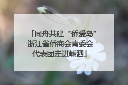 同舟共建“侨爱岛” 浙江省侨商会青委会代表团走进嵊泗