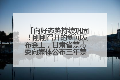 向好态势持续巩固！刚刚召开的新闻发布会上，甘肃省禁毒委向媒体公布三年禁毒工作“成绩单”