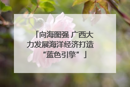 向海图强 广西大力发展海洋经济打造“蓝色引擎”