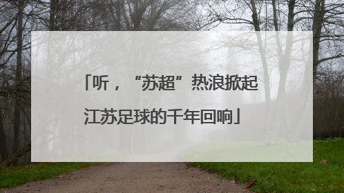 听，“苏超”热浪掀起江苏足球的千年回响