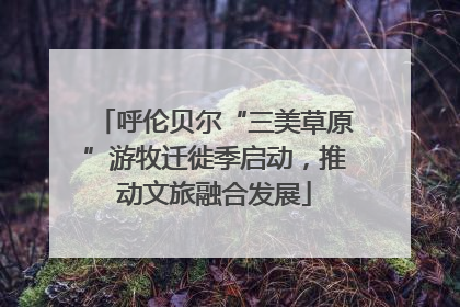 呼伦贝尔“三美草原”游牧迁徙季启动，推动文旅融合发展