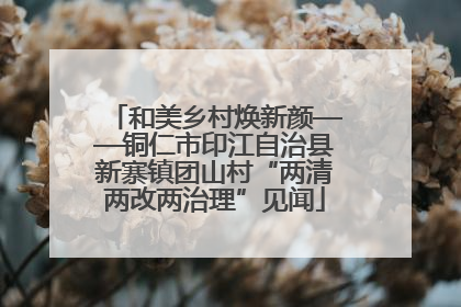 和美乡村焕新颜——铜仁市印江自治县新寨镇团山村“两清两改两治理”见闻
