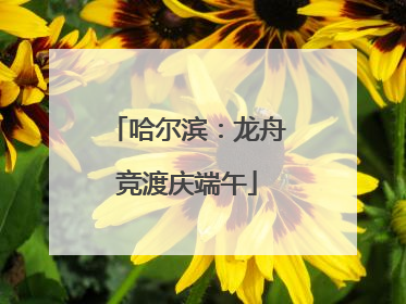 哈尔滨：龙舟竞渡庆端午