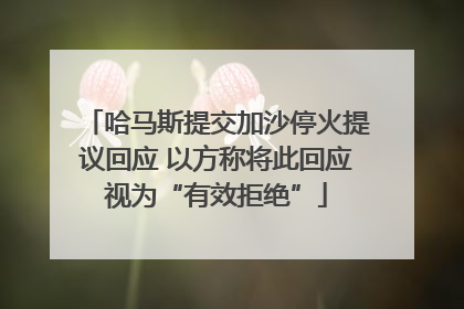 哈马斯提交加沙停火提议回应 以方称将此回应视为“有效拒绝”