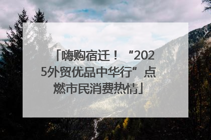 嗨购宿迁！“2025外贸优品中华行”点燃市民消费热情
