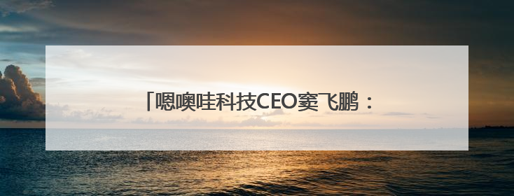 嗯噢哇科技CEO窦飞鹏：共创旅游专业能力认知平台，激发行业“自生长”力量