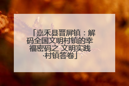 嘉禾县晋屏镇：解码全国文明村镇的幸福密码之 文明实践·村镇答卷