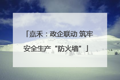 嘉禾：政企联动 筑牢安全生产“防火墙”