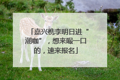 嘉兴槜李明日进“潮咖”，想来嘬一口的，速来报名